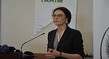 Ordu'da fındıkta iyi tarım uygulamaları yaygınlaşıyor