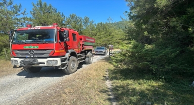 Bafra'da ormanlık alanlara girilmesi yasaklandı
