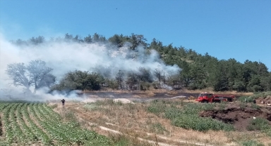 Bolu'da çıkan orman yangınına ekiplerce müdahale ediliyor