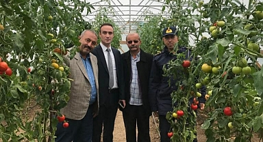 Dereli Kaymakamı Kestioğlu, Yavuzkemal tarım alanını gezdi