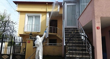 Espiye’de Kahverengi Kokarca Savaşı!