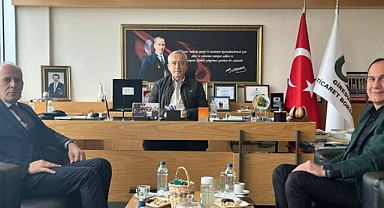 Kahverengi Kokarca Zararlısına Karşı Giresun'da İşbirliği ve Mücadele