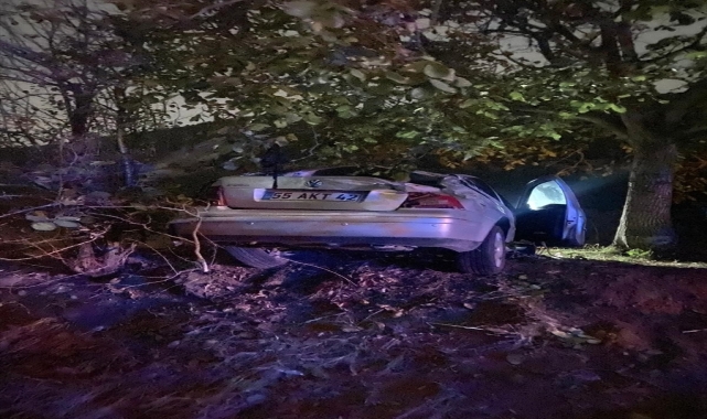 Tokat'ta şarampole devrilen otomobildeki 5 kişi yaralandı