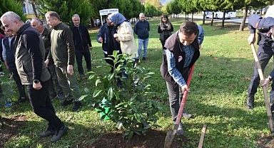 Espiye'de fidanlar toprakla buluştu