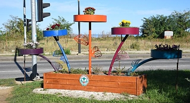 Giresun’da kış çiçekleri toprakla buluşturuldu