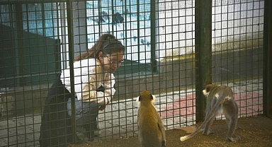 Hayvan barınağı örnek çalışmalarla dikkat çekiyor	