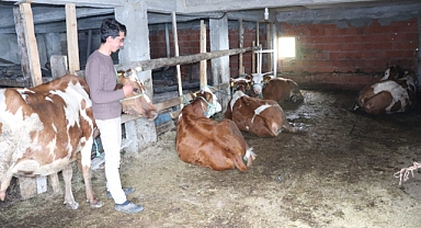 İşkur'dan,Engelli ve Eski Hükümlülere Hibe Desteği