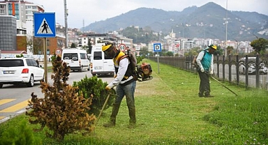 Sahil şeridinde ot biçme çalışması