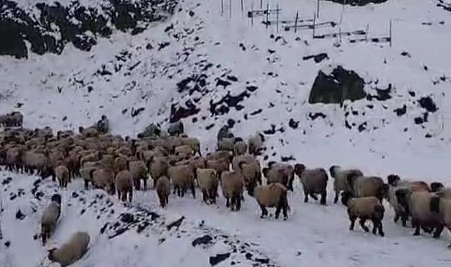Yaylacılar köylerine dönüyor