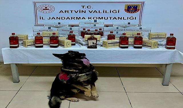 Artvin'de kaçakçılıkla mücadele çalışmaları devam ediyor