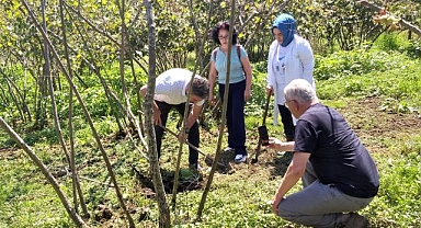 Destek ödemeleri gerçekleşti