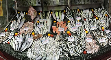 Giresun'da balık fiyatları güncellendi