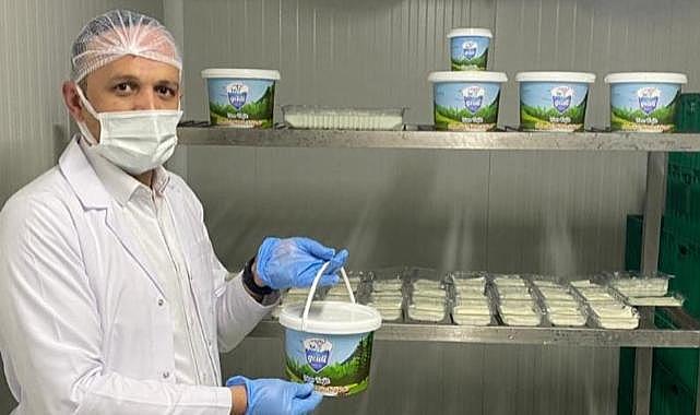 Günlük 3 ton süt işleniyor