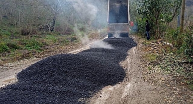 Keşap'ta çalışmalar devam ediyor