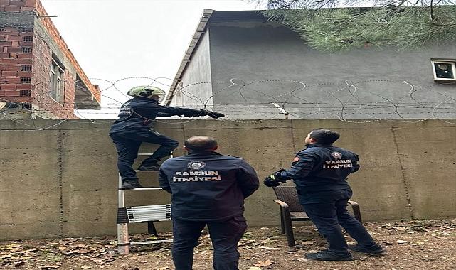 Tellere takılan kediyi itfaiye ekipleri kurtardı