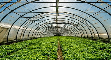“Yatırım ve istihdam toplantısı meyvelerini veriyor”