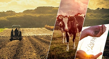 2023'te 63,4 milyar lira tarımsal destek ödemesi yapıldı