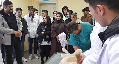 Alucra MYO öğrencileri Şebinkarahisar'daydı