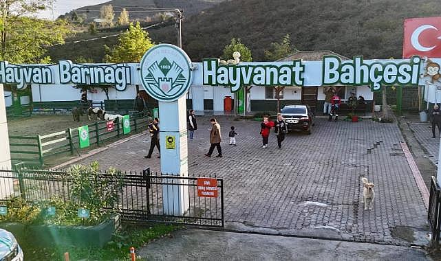 Can dostların güvenli yuvası