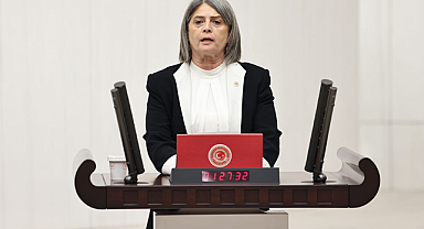 Milletvekili Suiçmez, çocuk yaşta evlilikleri özendiren açıklamaları eleştirdi
