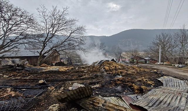 Çıkan yangında 3 katlı ahşap ev, samanlık ve ahır yandı