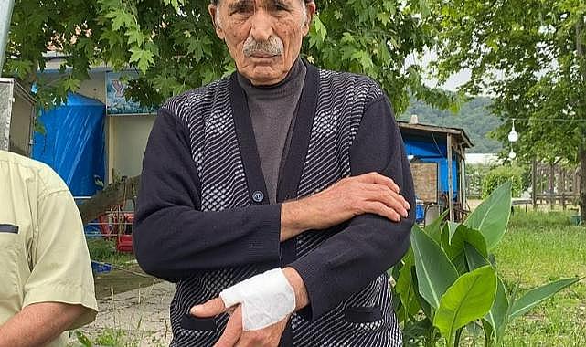 Zonguldak'ta köpek saldırısına uğrayan yaşlı adam şikayetçi oldu