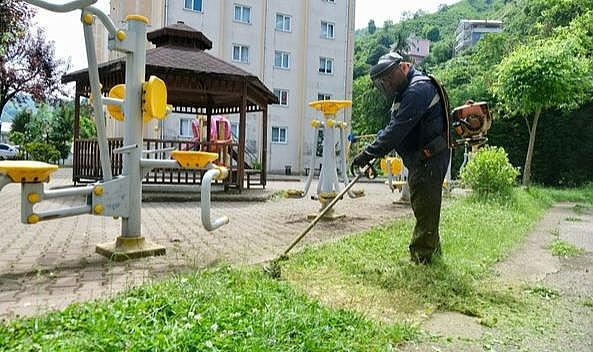 Giresun Belediyesi' nden yaz operasyonu