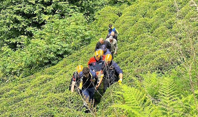 Rize'de kestiği ağacın altında kalan kişi yaralandı