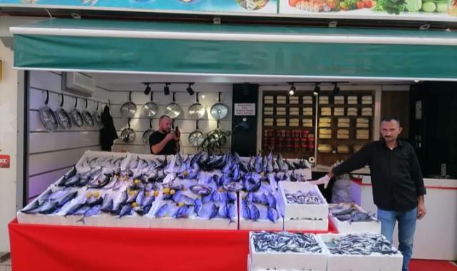 Giresun'da Balık Fiyatları Ne Kadar?