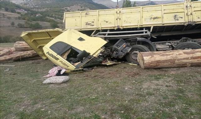 Tomruk yüklü kamyon devrildi