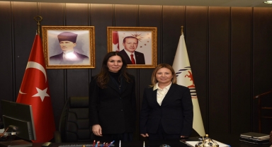 AK Parti'li Karaaslan, OMÜ Rektörü Aydın'ı ziyaret etti