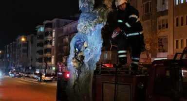 Çorum'da gövdesi yanmaya başlayan ağaç söndürüldü