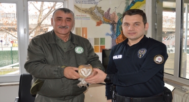 Samsun'da polislerin bulduğu yaralı baykuş tedaviye alındı
