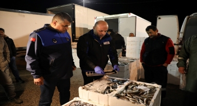 Ordu'da su ürünleri denetimi yapıldı