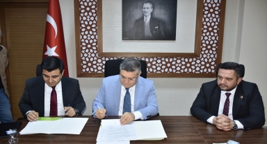 Sinop'ta 80 bin yabani zeytin ağacı aşılanarak ekonomiye kazandırılacak