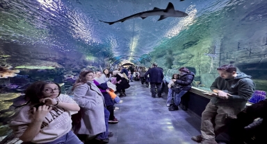 Trabzon Akvaryum'daki 