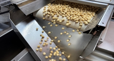 Türkiye fındık ihracatının yüzde 27'sini Almanya'ya yaptı