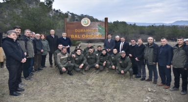 Türkiye'nin 827'nci Bal Ormanı Sinop'ta kuruldu