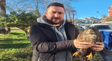 Zonguldak'ta öğretmenlerin bulduğu yaralı şahin tedaviye alındı