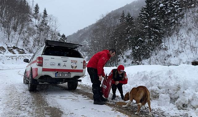 AKUT, SOKAK HAYVANLARINI BESLİYOR