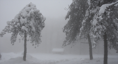 Samsun'da 1224 rakımlı Nebiyan Dağı karla kaplandı