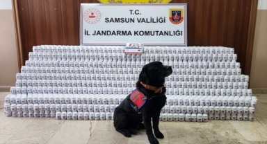 Samsun'da 170 bin 755 kapsül sentetik ecza hapı ele geçirildi