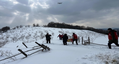 Samsun'da yaban hayatı için doğaya yem bırakıldı