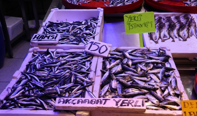 Trabzon'da hamsi ve istavritin kilogramı 150 liradan satılıyor