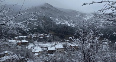 Türkeli'de kar yağışı etkili oldu