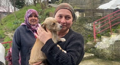 Zonguldak'ta çöp konteynerinin yanına terk edilen köpek yavrusu yuvaya kavuştu