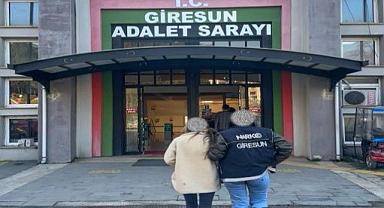 3 İLÇEDE UYUŞTURUCU OPERASYONU
