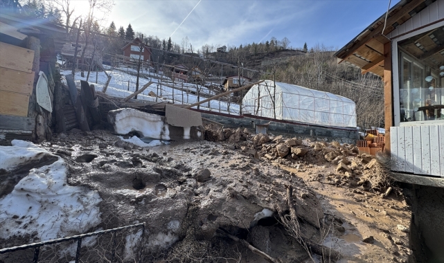 Artvin'de heyelan nedeniyle 2 ev zarar gördü