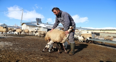 Bayburt'ta besicilerin zorlu kış mesaisi sürüyor