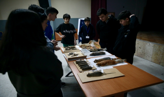 Bolu'da öğrenciler yaban hayatını görerek öğreniyor